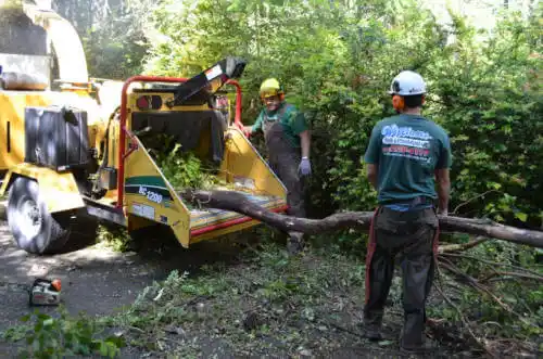 tree services Westmorland